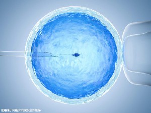 实验室 Fig.03